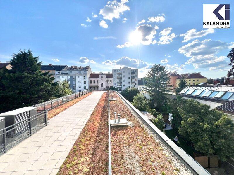 Blick Gemeinschaftsterrasse