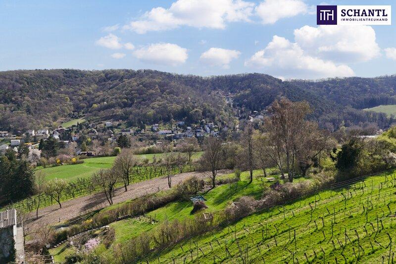 Fellergraben, 3400 Klosterneuburg