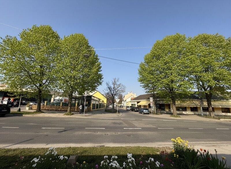 Stra�enbild gegen�berliegend