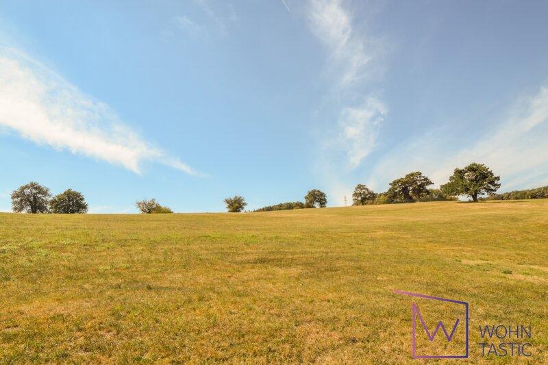 direkt angrenzende Felder und Wiesen