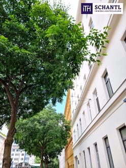 Aehnliche Immobilie - Vorschaubild 3