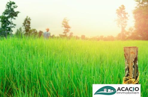 Gro�er Bauplatz in zentraler Lage von Michelhausen