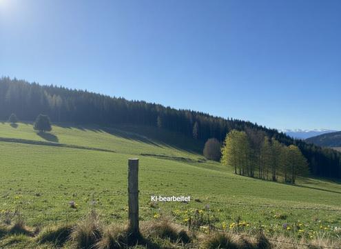 4,2 ha Wiesenfl�che im Raum Knittelfeld