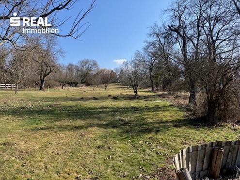 Großzügiges Wohnhaus mit riesigem Garten im Thermenort Bad Tatzmannsdorf