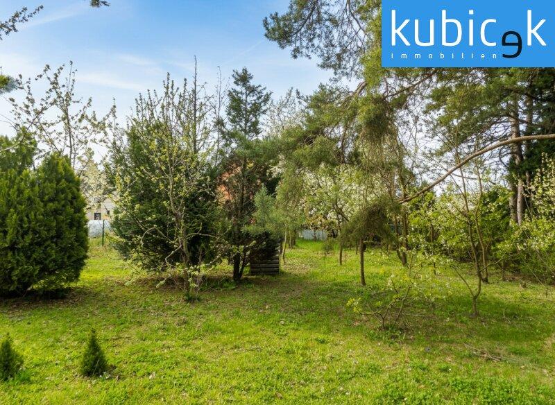 Garten Richtung S�den