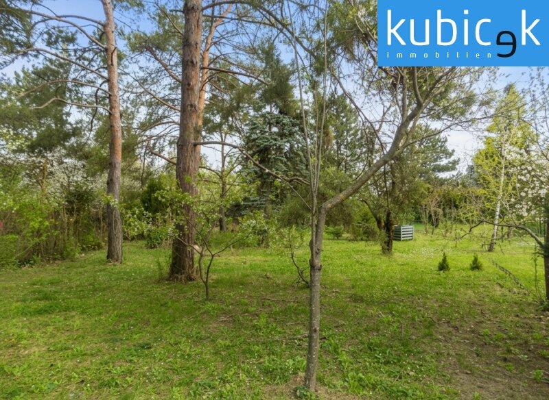 Garten Richtung Norden