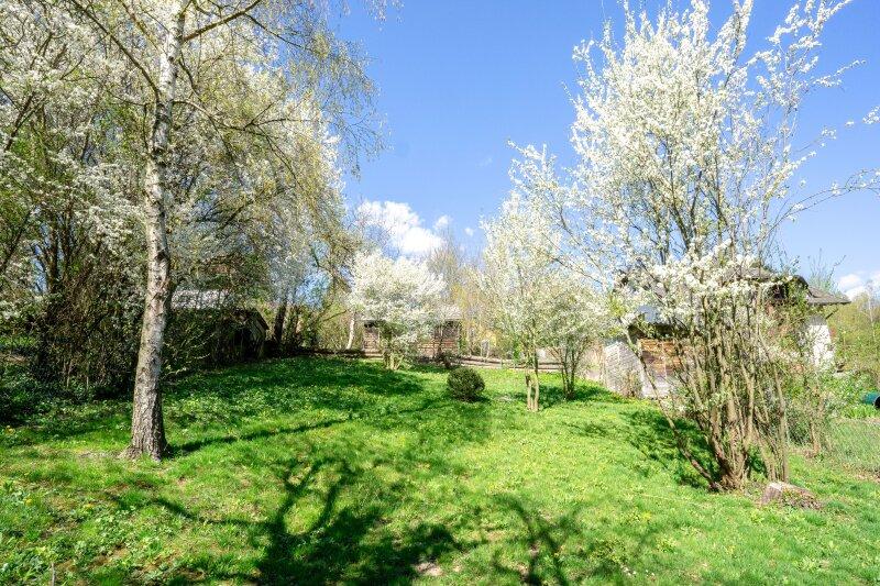 Blick vom S�den hinauf �ber das gesamte Grundst�ck