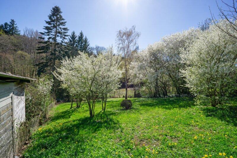 Gr�nlandanteil nach S�den mit Obstb�umen