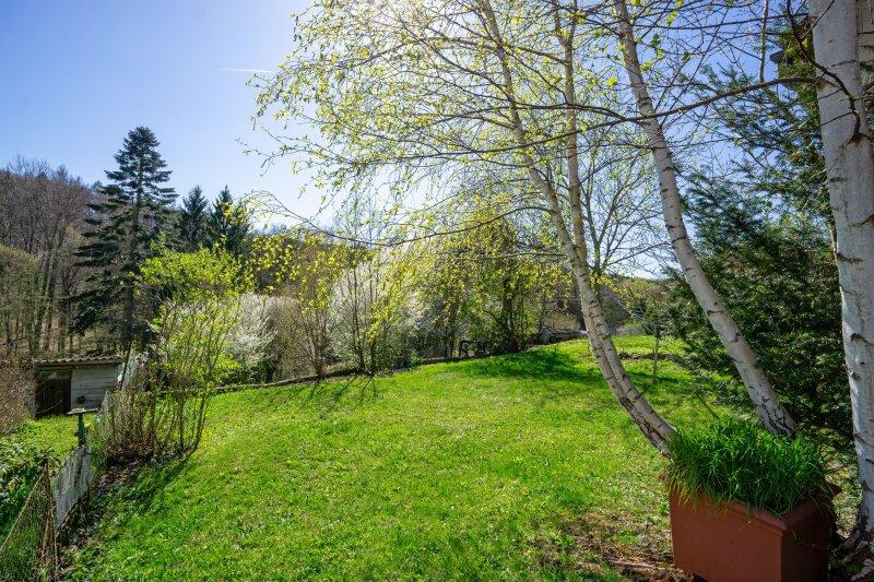 Blick �ber das Bauland (Wiese) Richtung Gr�nland