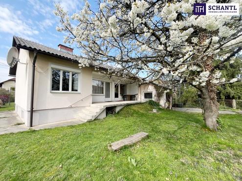 PLATZ zum WACHSEN - sanierungsbed�rftiges Haus mit gro�em Garten und traumhaften B�umen in Graz Liebenau! Bungalow mit Ausbaureserve!
