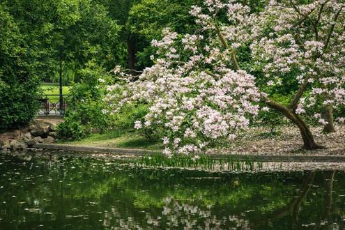 Aehnliche Immobilie - Vorschaubild 2