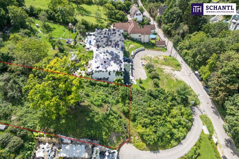 Abbildung von Grundst�ck und Umgebung aus der Vogelperspekti