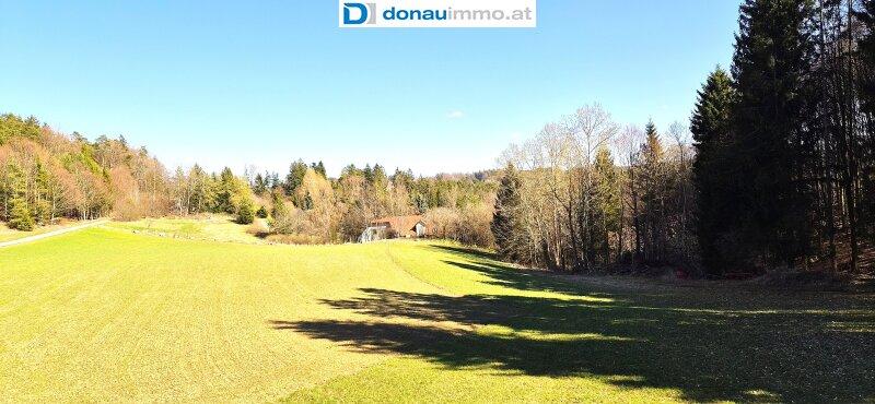 Zwischen Gro� Gerungs und Schloss Rosenau