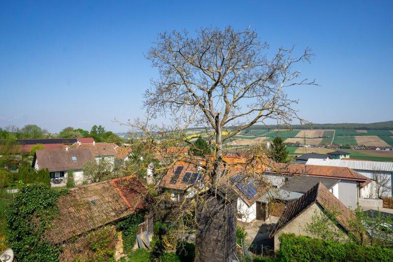 Ausblick Westterrasse