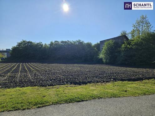 Erstklassiger Bautr�gergrund mit durchdachter Planstudie in bester Lage - optimale Voraussetzungen f�r Ihr Bauprojekt!