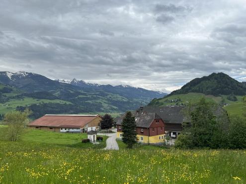 4.8 ha Landwirtschaft in Toplage