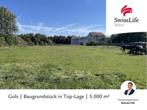 Gols | Baugrundst�ck in Top-Lage | 5.000 m�