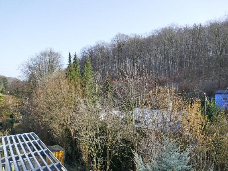 Ausblick S�dterrasse