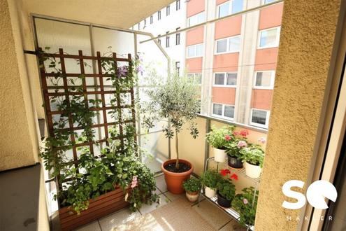 #SQ - FREIE MIETZINSBILDUNG! - URBANE PRAKTISCH AUFGETEILTE 2-ZIMMER-BALKONWOHNUNG BEIM JOHANN-NEPOMUK-BERGER-PLATZ -