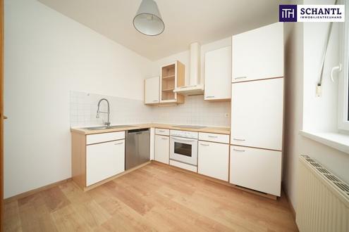 ANKOMMEN & WOHLF�HLEN - F�R NATURBEGEISTERTE! Maisonette-Wohnung mit Waldblick-Terrasse & durchdachter Raumaufteilung in La�nitzh�he