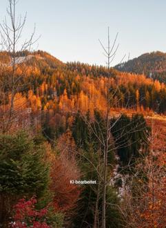 19 ha Wirtschaftswald im Almenland