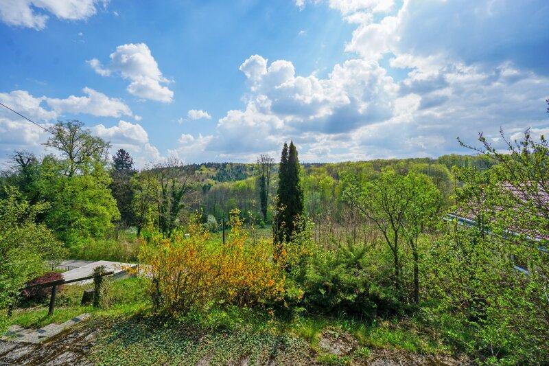 Wohnk�che_Blick zur Terrasse und in den Garten