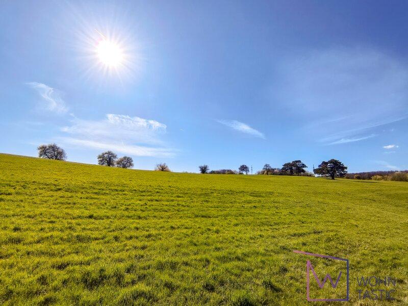 direkt angrenzende Felder und Wiesen