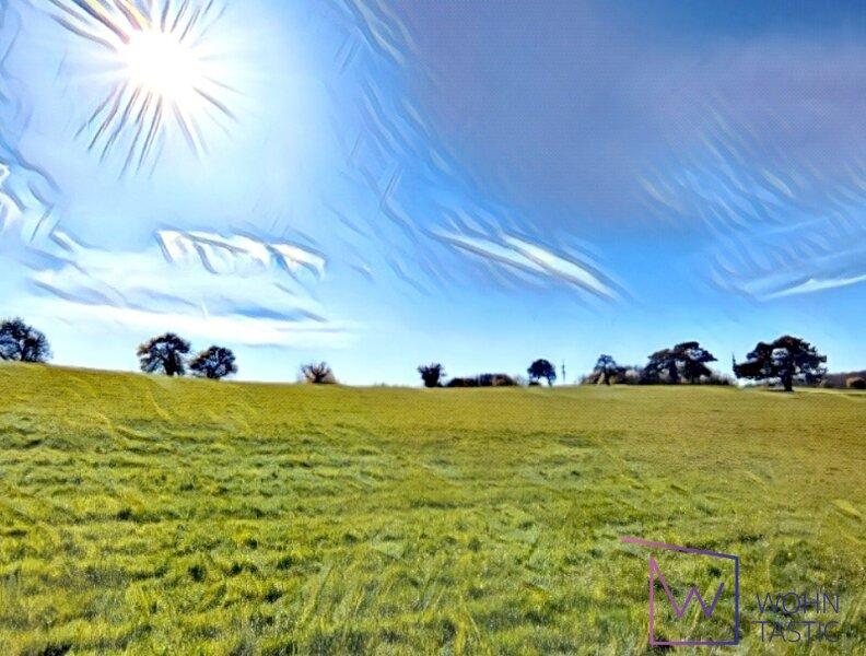 direkt angrenzende Felder und Wiesen