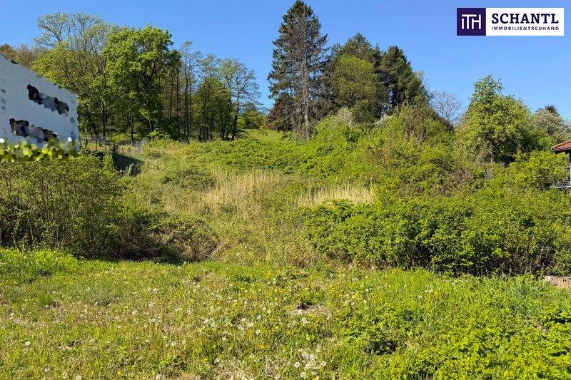Sonnige Liegenschaft mit Entwicklungspotenzial