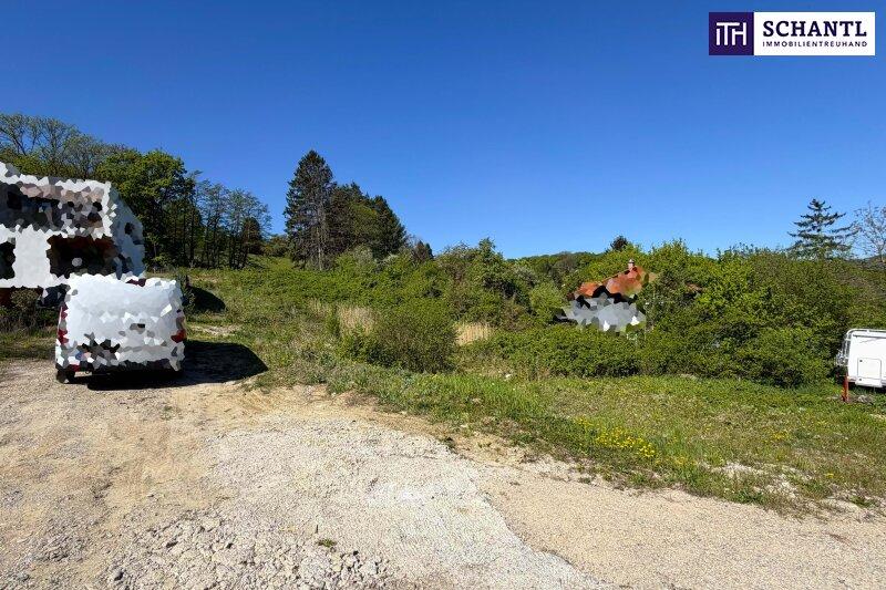 Sonnige Liegenschaft mit Entwicklungspotenzial
