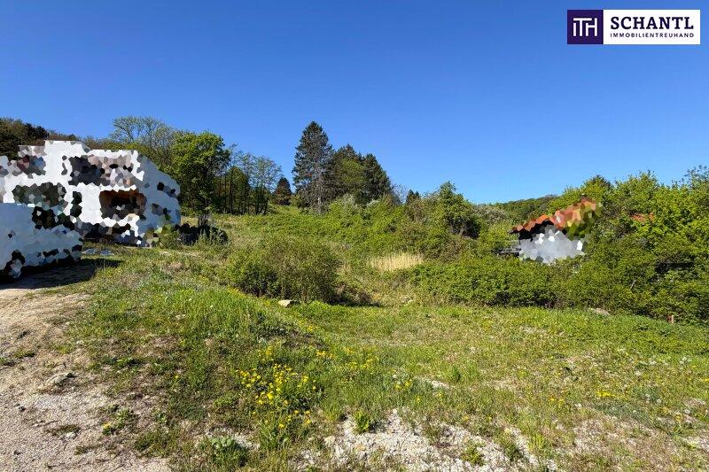 Sonnige Liegenschaft mit Entwicklungspotenzial