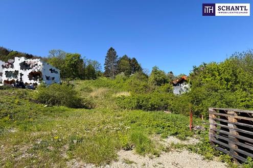 Sonnige Liegenschaft mit Entwicklungspotenzial in Klosterneuburg