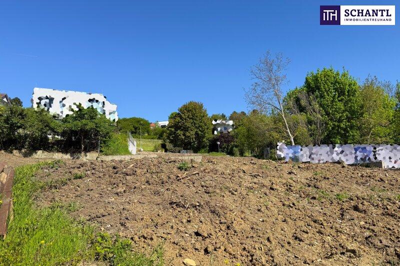 Sonniges Baugrundst�ck in Klosterneuburg