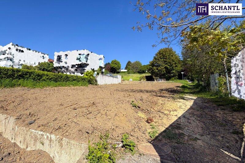 Sonniges Baugrundst�ck in Klosterneuburg