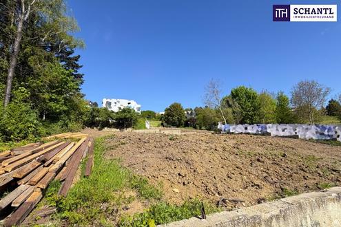 Sonniges Baugrundst�ck am �lberg+ ruhige Seitengasse + tolle Wohngegend! Ideal f�r Ihr Traumhaus!