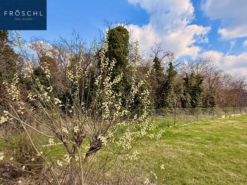 Baugrundst�ck in Altenburg - ruhige Wohnlage nahe Horn im Waldviertel
