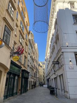 Grabenn�he! Dachmaisonette mit bezaubernden Dachgarten in denkmalgesch�tztem Barockhaus!