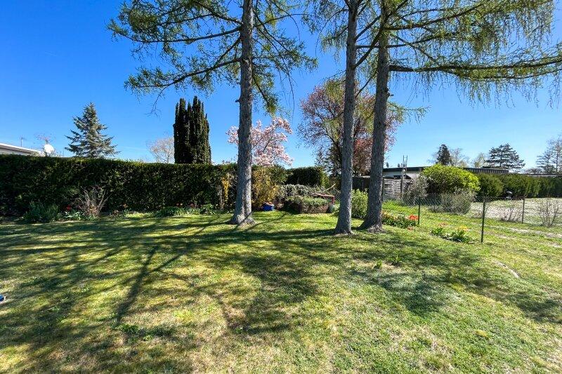 Garten mit schattenspendenden B�umen