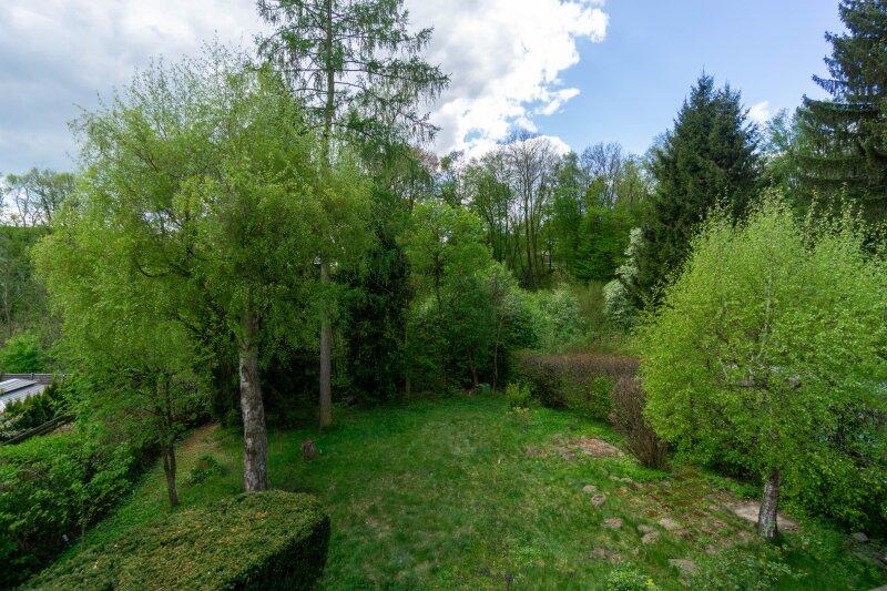 Gr�nblick vom Balkon