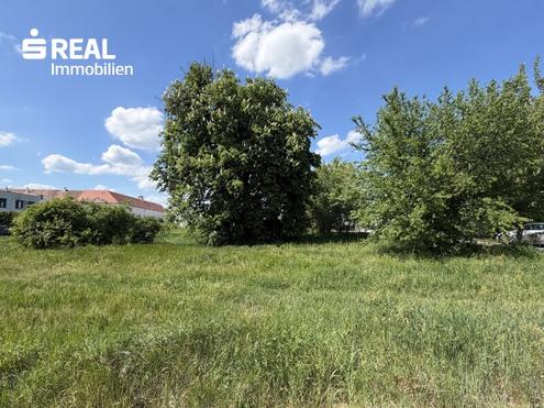 Wohnen nahe dem Neusiedler See - ruhige Lage - zentrumsnah
