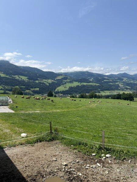 Ansicht