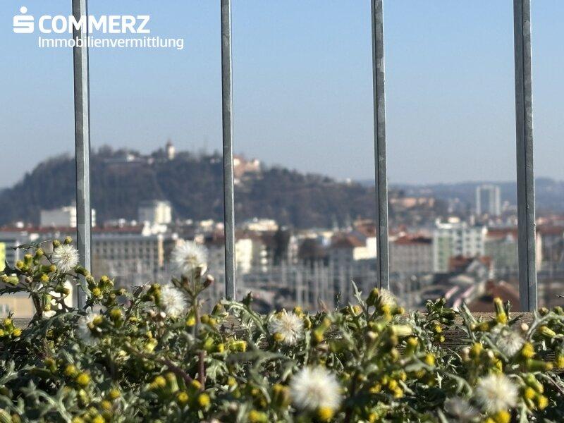 mietbarer Garten