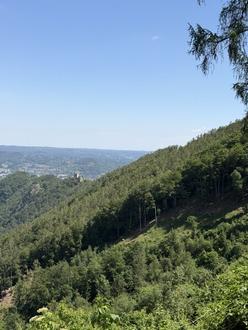 170 ha Eigenjagd - Wirtschaftswald