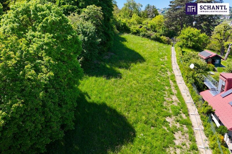 Grundst�ck, westliche Seite