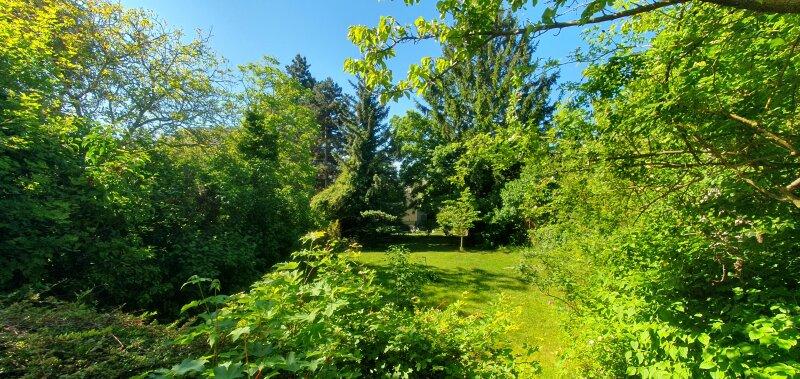 Garten, Bild 1