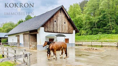 Exklusives Reitanwesen mit 6 Wohneinheiten & Bauland in traumhafter Lage nahe dem Klopeiner See