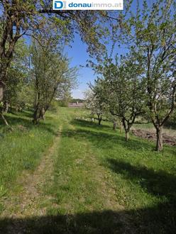 Ruhig gelegener Bauernhof mit Nebengeb�uden und gesch�tztem Innenhof