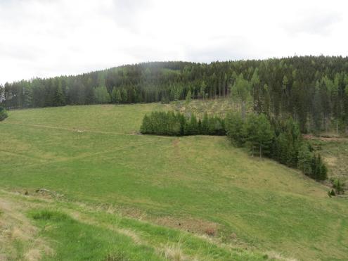 11,4 ha landw. Fl�che I 2 m�hdige Wiese