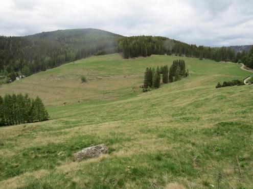 11,4 ha landw. Fl�che I 2 m�hdige Wiese