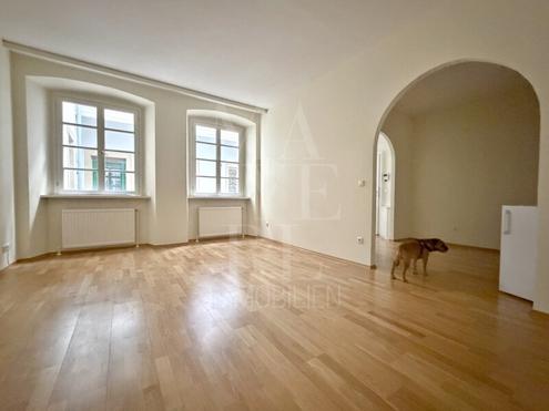 charmante Einzimmerwohnung mitten im  Zentrum